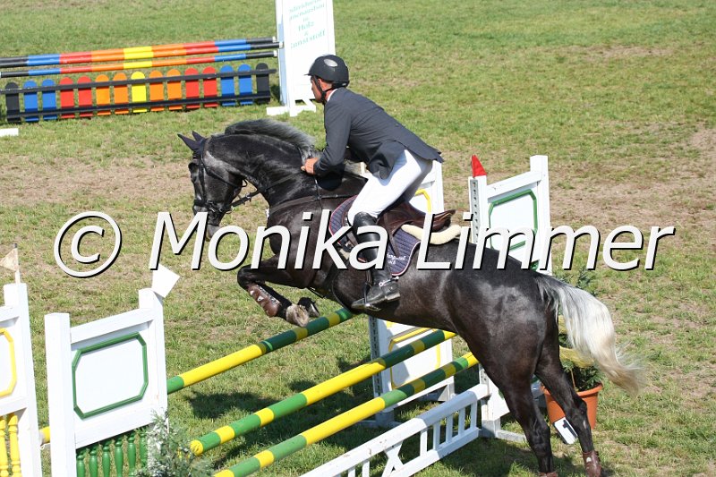 105M3390_JPs Cedric_Spring_A.JPG